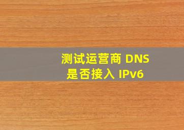 测试运营商 DNS 是否接入 IPv6